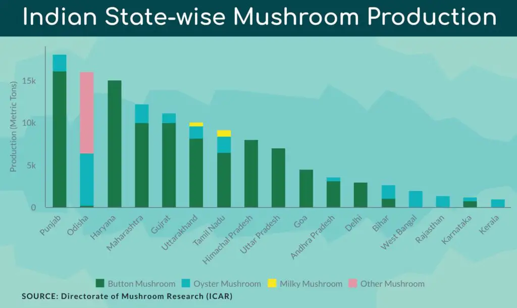Indian state wise mushroom production showing the contribution of each state of India in total mushroom production from India