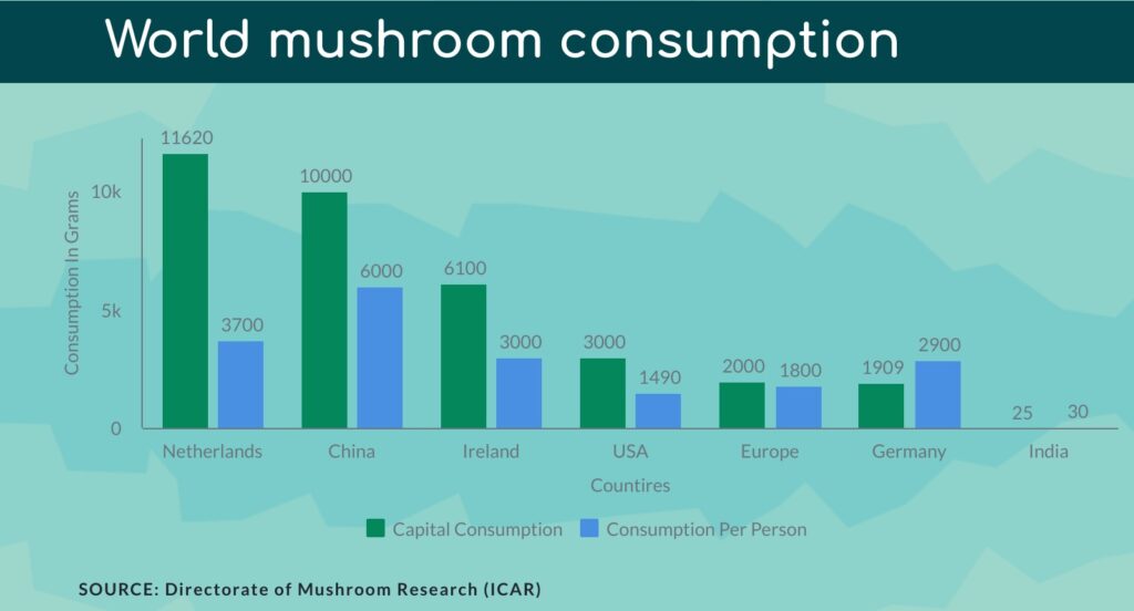 World mushroom consumption graph shing per capita consumption of mushroom along with per person consumption. this graph emphesises the huge market for mushroom farming