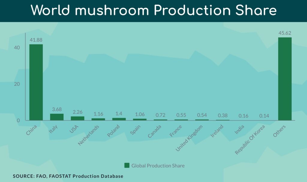 World mushroom production share shawing the production and market share of each mushroom producing country and compare it to India