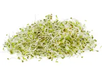alfalfa sprouts nutrition calorie content