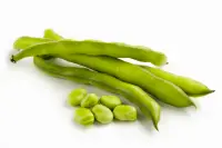 broad bean FAVA BEANS nutrition calorie content