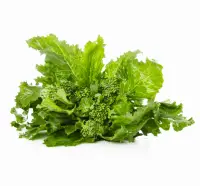 broccoli rabe nutrition calorie content