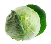 cabbage nutrition calorie content