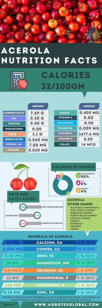Acerola NUTRITION FACTS calorie chart infographic