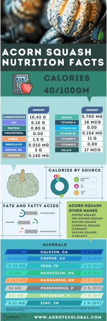 Acorn squash nutrition facts calorie chart infographic
