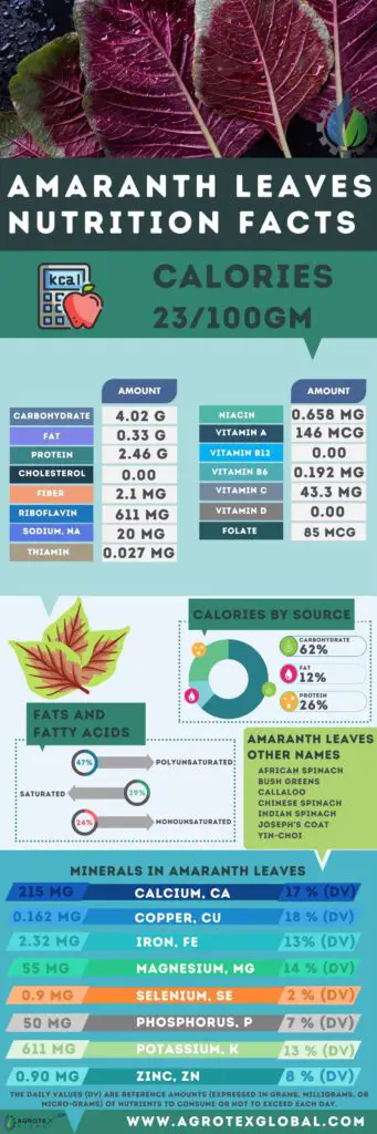 Amaranth leaves NUTRITION FACTS calorie chart infographic