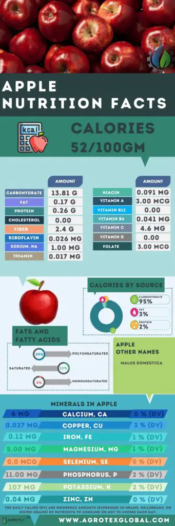 Apple NUTRITION FACTS calorie chart infographic