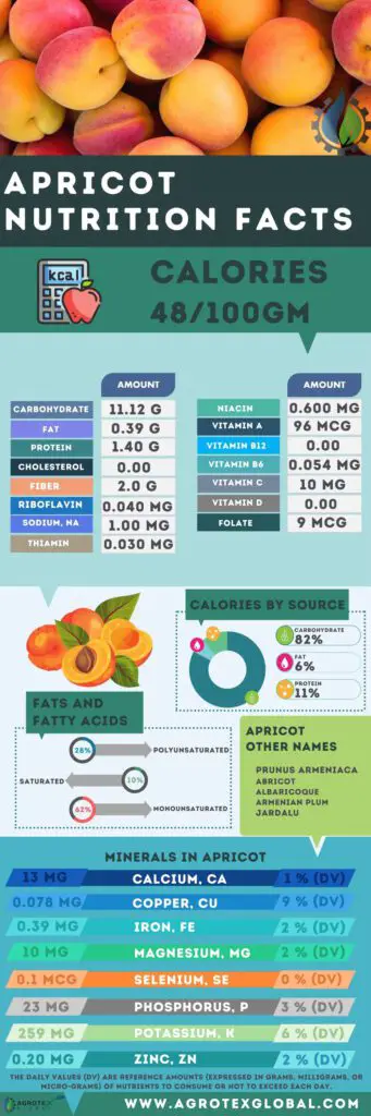 Apricot nutrition facts calorie content freshness and storage