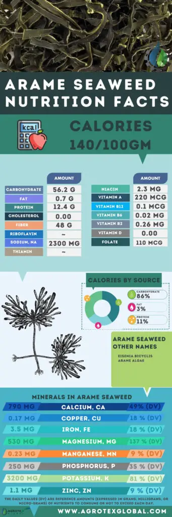 Arame SEAWEED nutrition calorie chart facts infographic