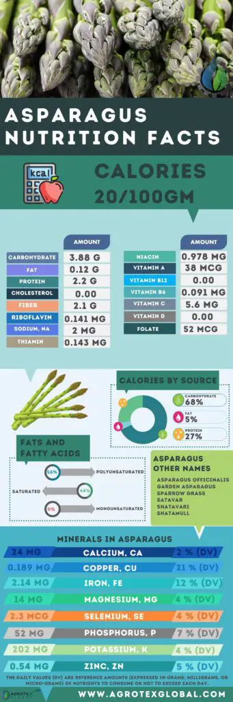 Asparagus NUTRITION FACTS calorie chart infographic