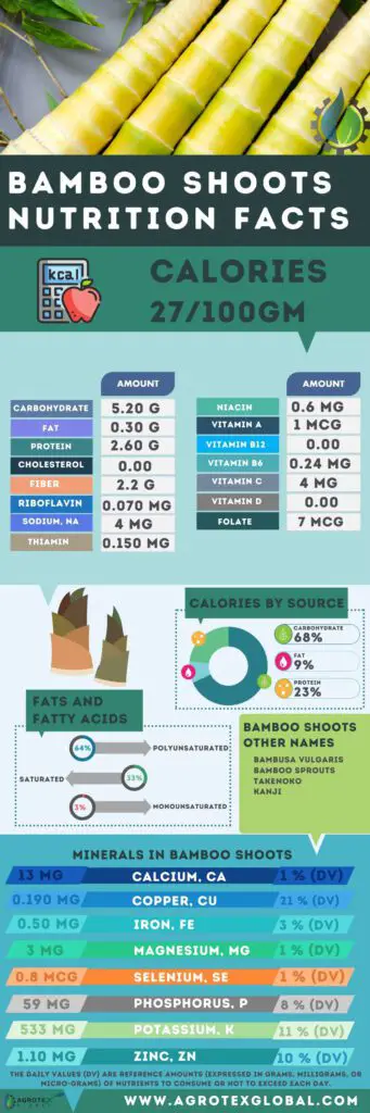 Bamboo Shoots NUTRITION FACTS calorie chart infographic