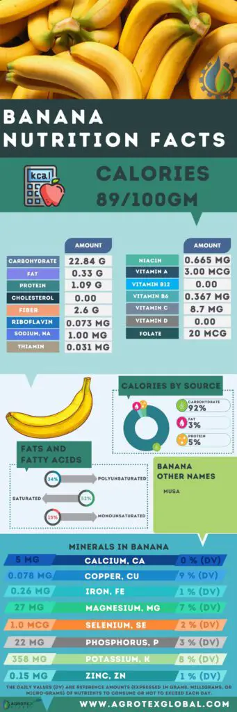 Banana NUTRITION FACTS calorie chart infographic