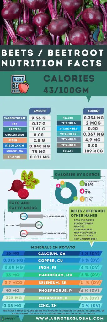 Beets Beetroot NUTRITION FACTS calorie chart infographic
