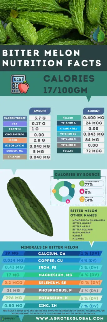 Bitter Melon NUTRITION FACTS calorie chart infographic