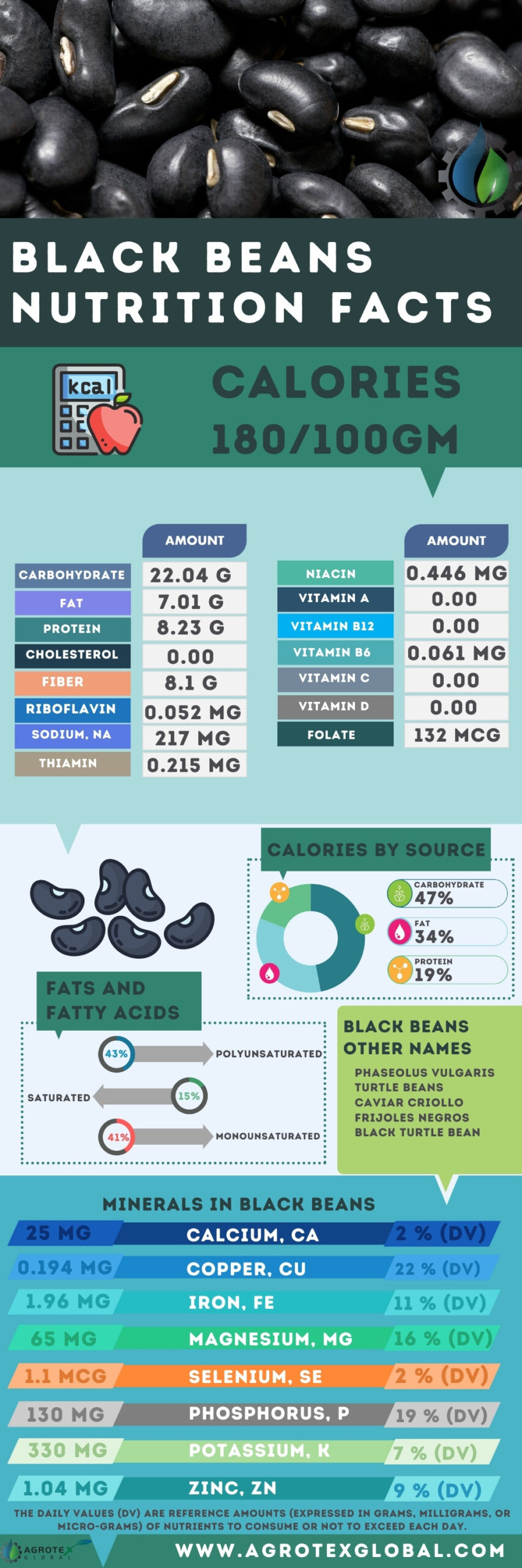 Black beans NUTRITION FACTS calorie chart infographic
