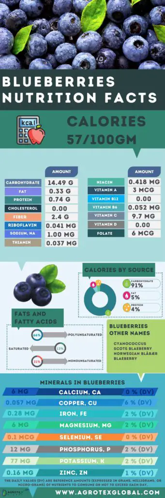 Blueberries NUTRITION FACTS calorie chart infographic