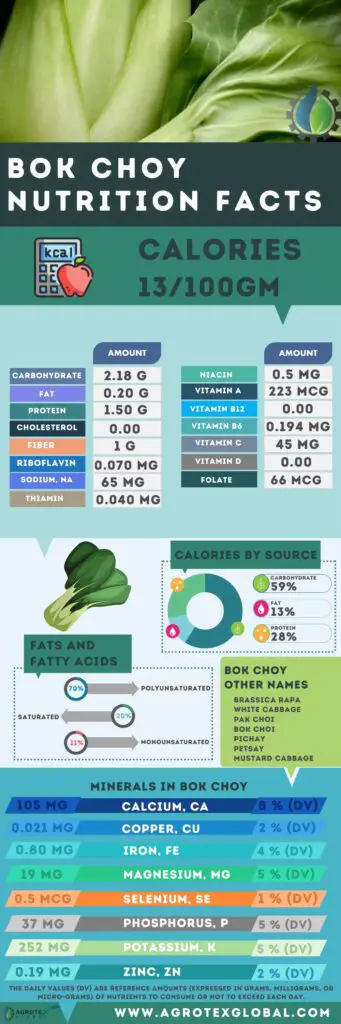 Bok Choy NUTRITION FACTS calorie chart infographic