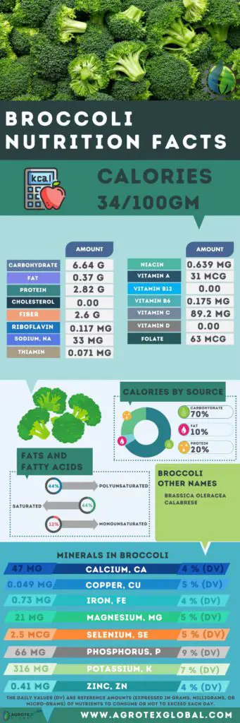 Broccoli NUTRITION FACTS calorie chart infographic