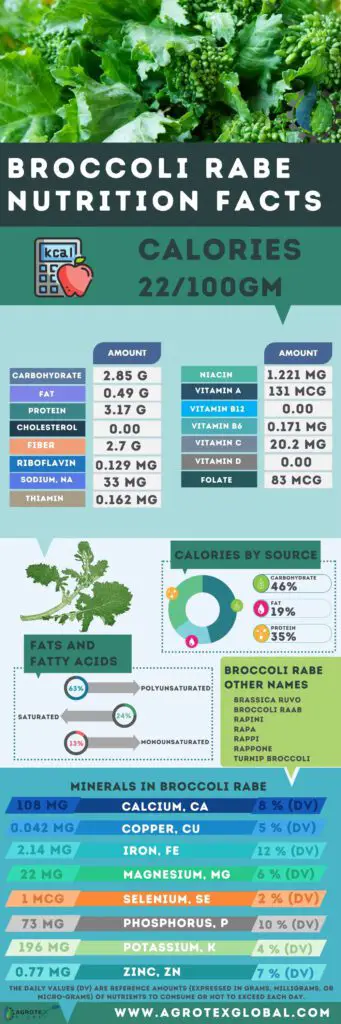 Broccoli Rabe NUTRITION FACTS calorie chart infographic