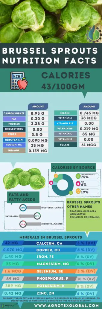 Brussel Sprouts NUTRITION FACTS calorie chart infographic