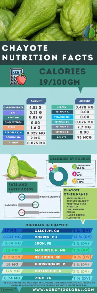 CHAYOTE NUTRITION FACTS calorie chart infographic