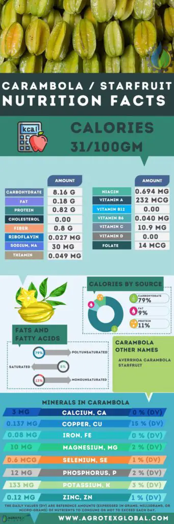 Carambola starfruit NUTRITION FACTS calorie chart infographic
