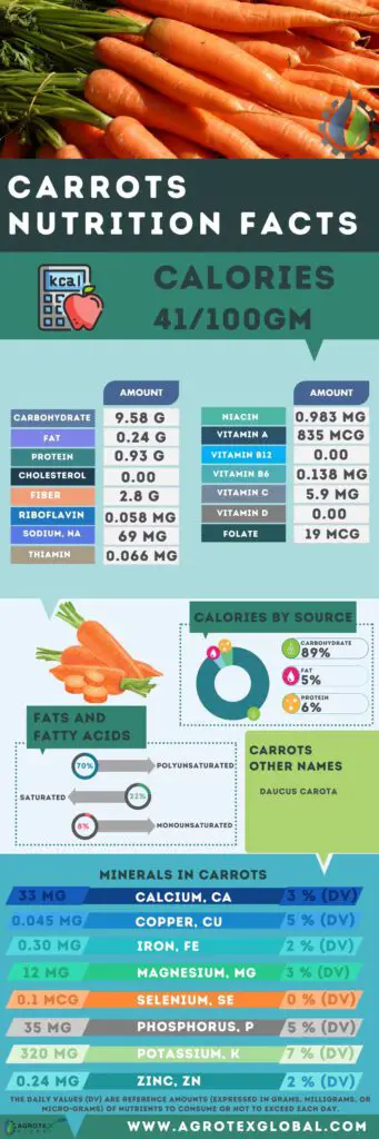 Carrots NUTRITION FACTS calorie chart infographic