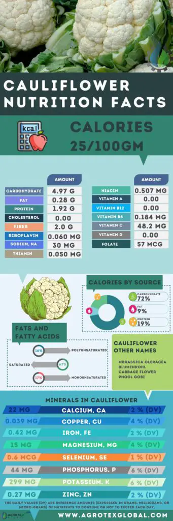Cauliflower NUTRITION FACTS calorie chart infographic