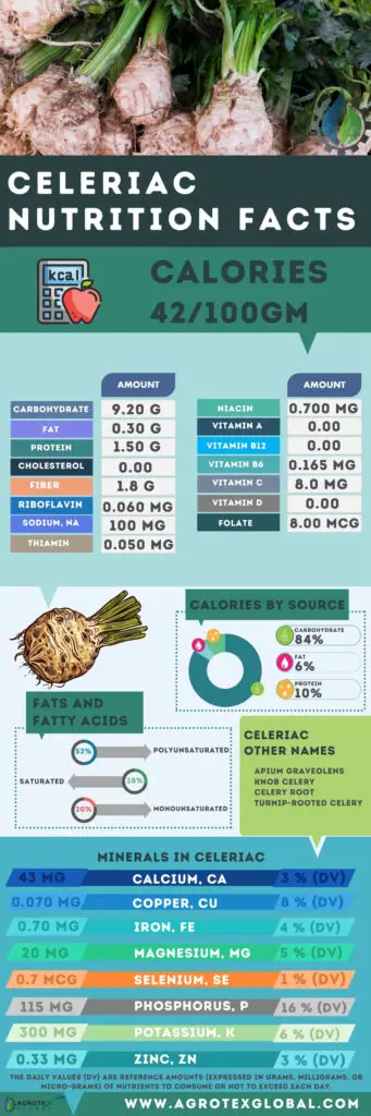 Celeriac NUTRITION FACTS calorie chart infographic