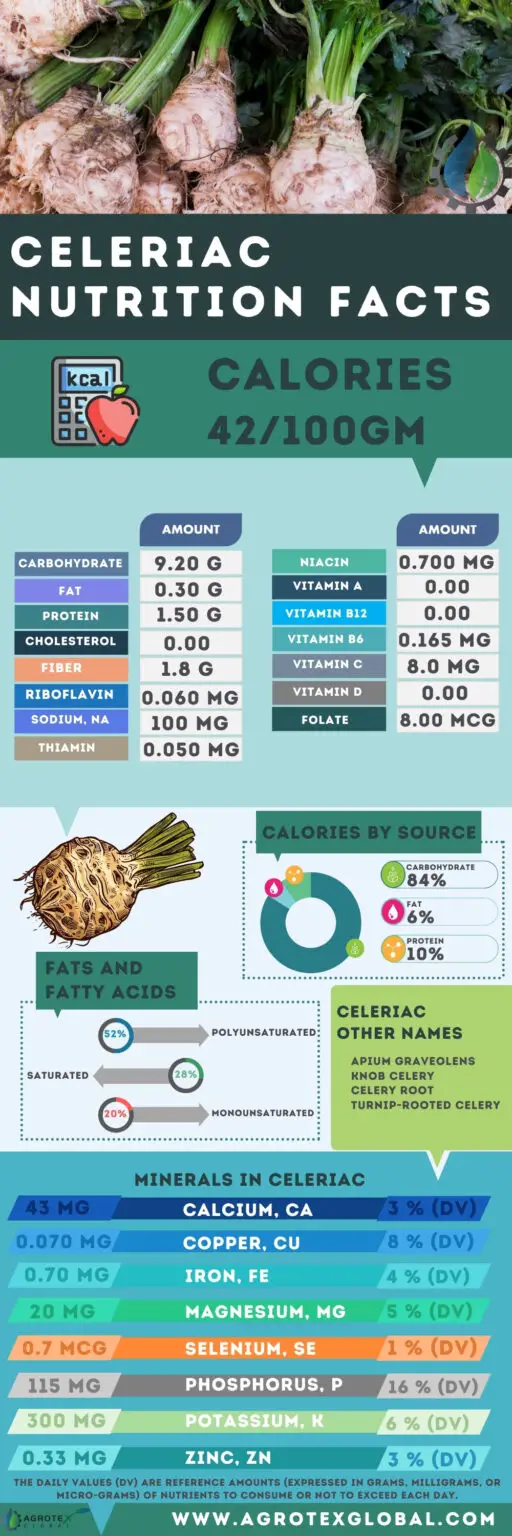 celeriac-celery-root