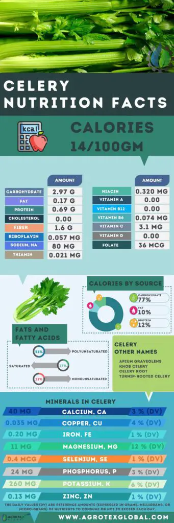 Celery NUTRITION FACTS calorie chart infographic
