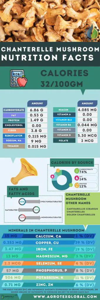 Chanterelle Mushroom NUTRITION FACTS calorie chart infographic
