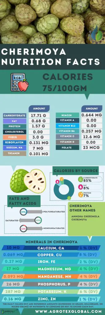 Cherimoya NUTRITION FACTS calorie chart infographic