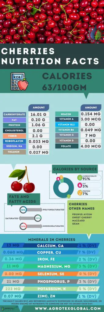 Cherries NUTRITION FACTS calorie chart infographic