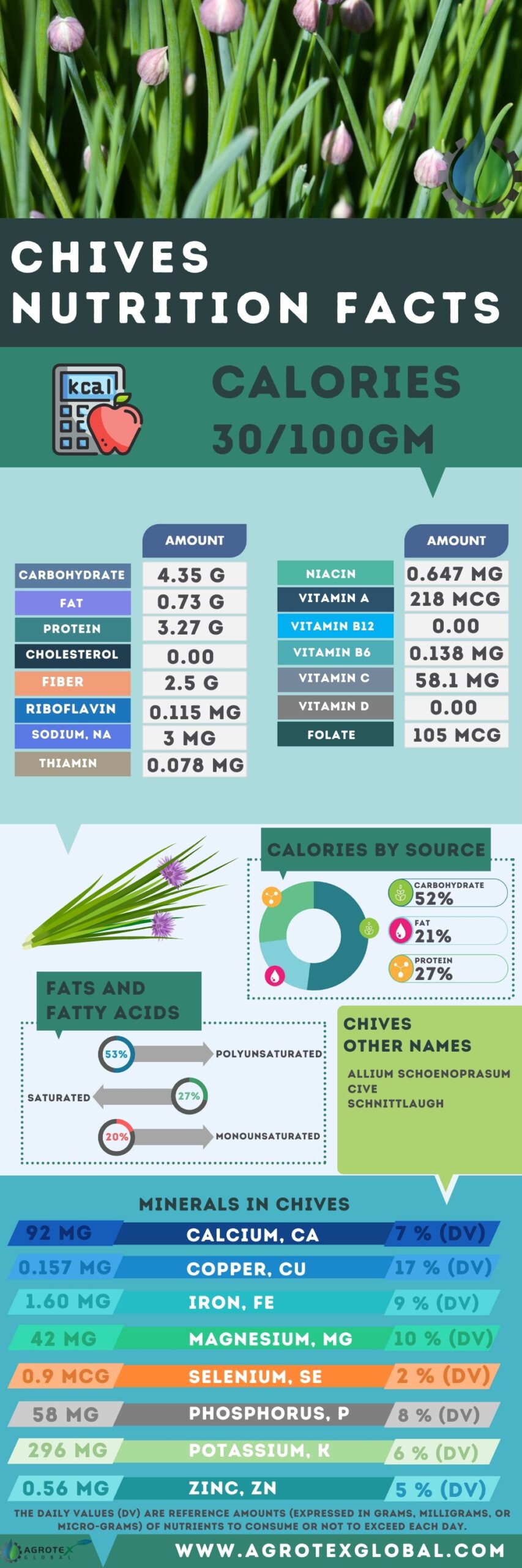 Chives NUTRITION FACTS calorie chart infographics