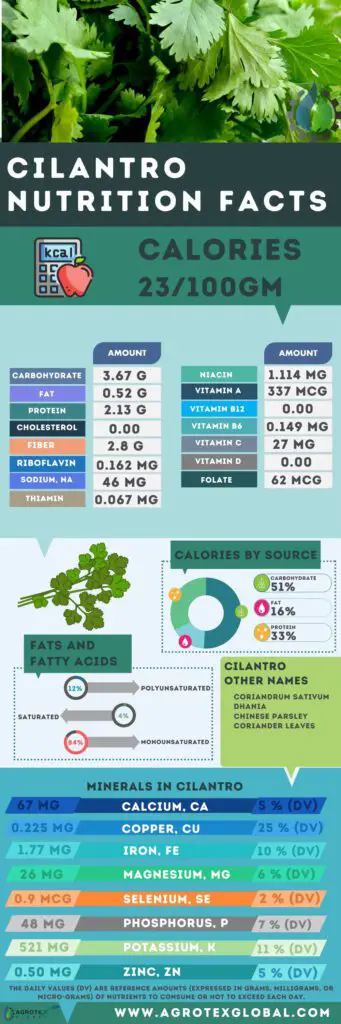 Cilantro NUTRITION FACTS calorie chart infographic