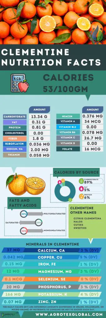 Clementine NUTRITION FACTS calorie chart infographic