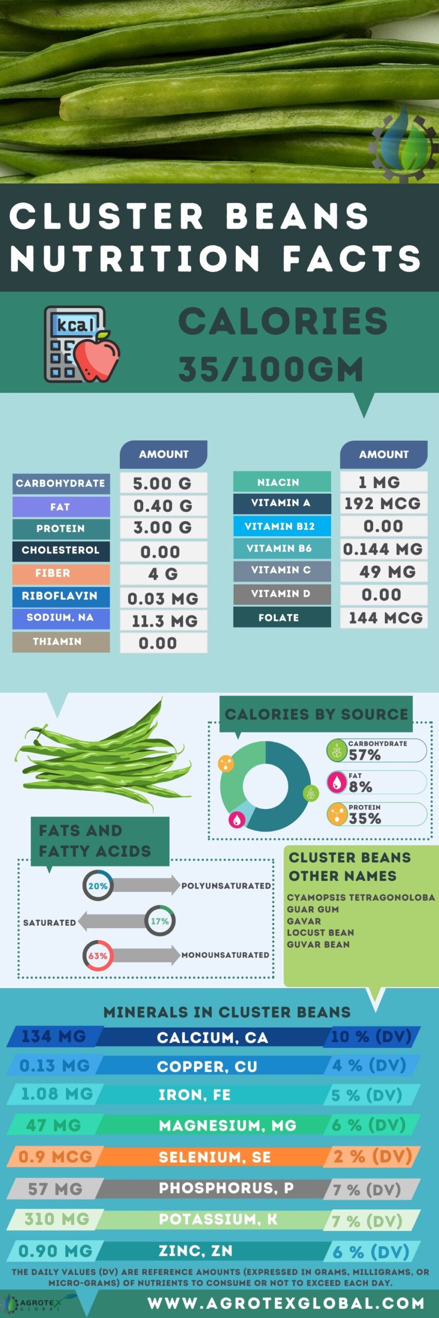 Cluster beans NUTRITION FACTS calorie scientific name chart infographics