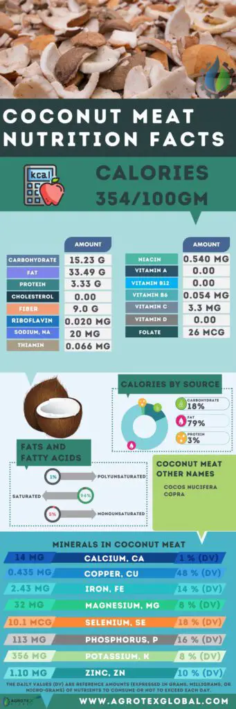 Coconut Meat NUTRITION FACTS calorie chart infographic