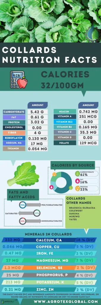 Collards NUTRITION FACTS calorie chart infographic