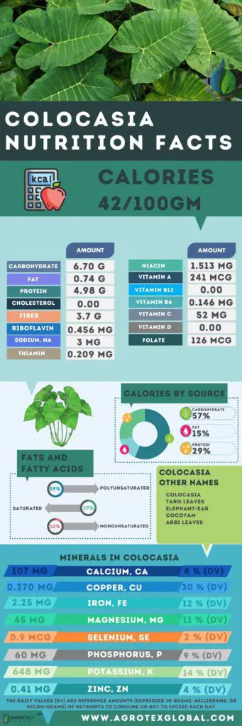 Colocasia NUTRITION FACTS calorie chart infographic
