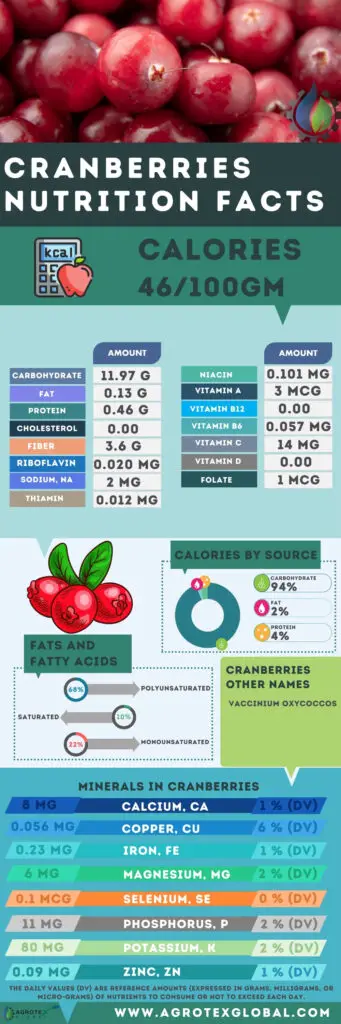 Cranberries NUTRITION FACTS calorie chart infographic
