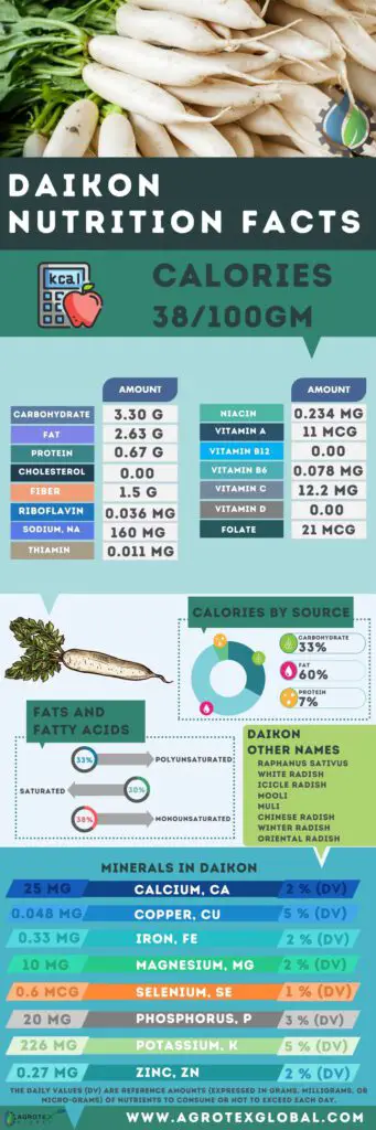 Daikon NUTRITION FACTS calorie chart infographic