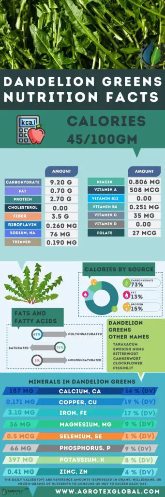 Dandelion greens NUTRITION FACTS calorie chart infographic