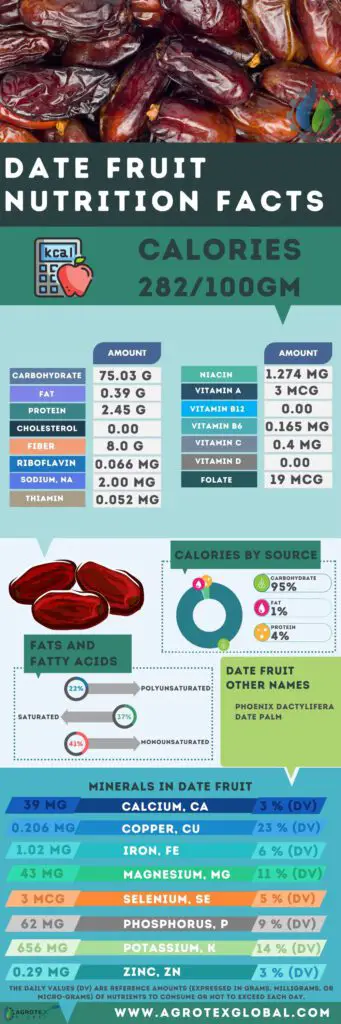 Date Fruit NUTRITION FACTS calorie chart infographic