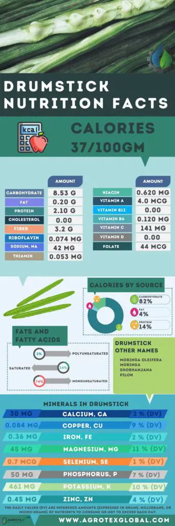 Drumstick moringa pod fruit NUTRITION FACTS calorie chart infographic