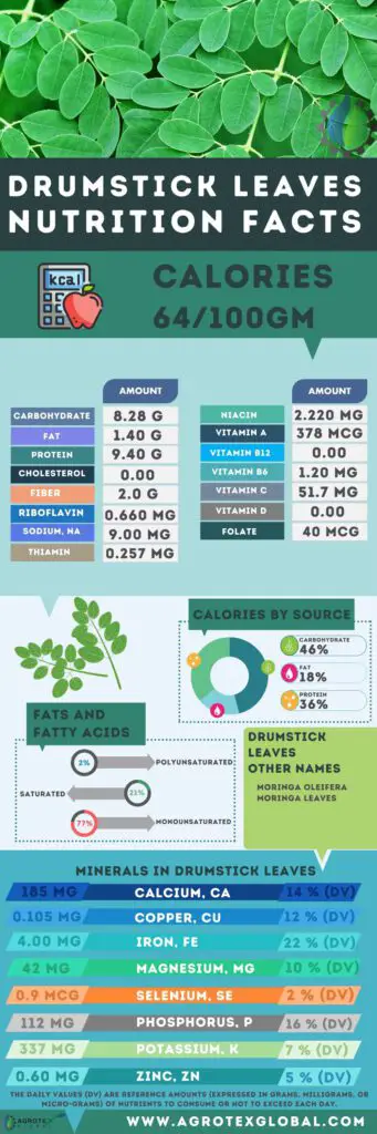 Drumstick leaves moringa leaves NUTRITION FACTS calorie chart infographic