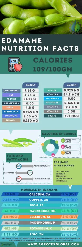 Edamame soybean soyabean NUTRITION FACTS calorie chart infographic
