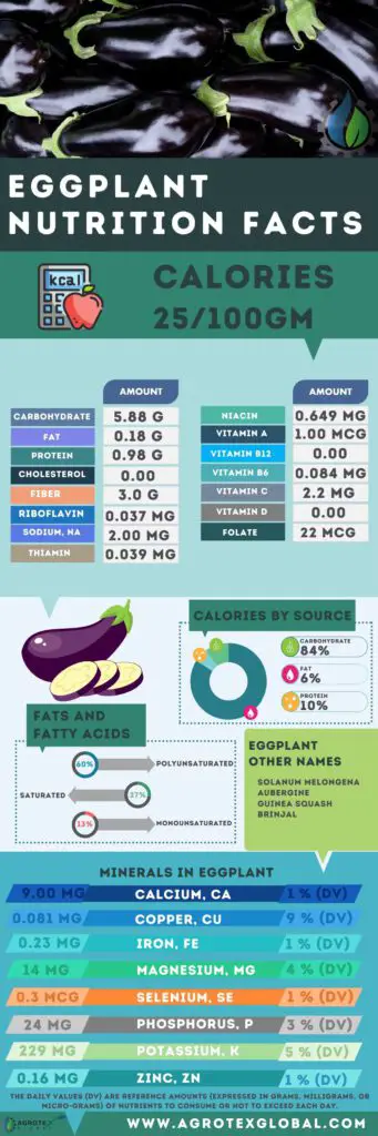 Eggplant aubergine NUTRITION FACTS calorie chart infographic