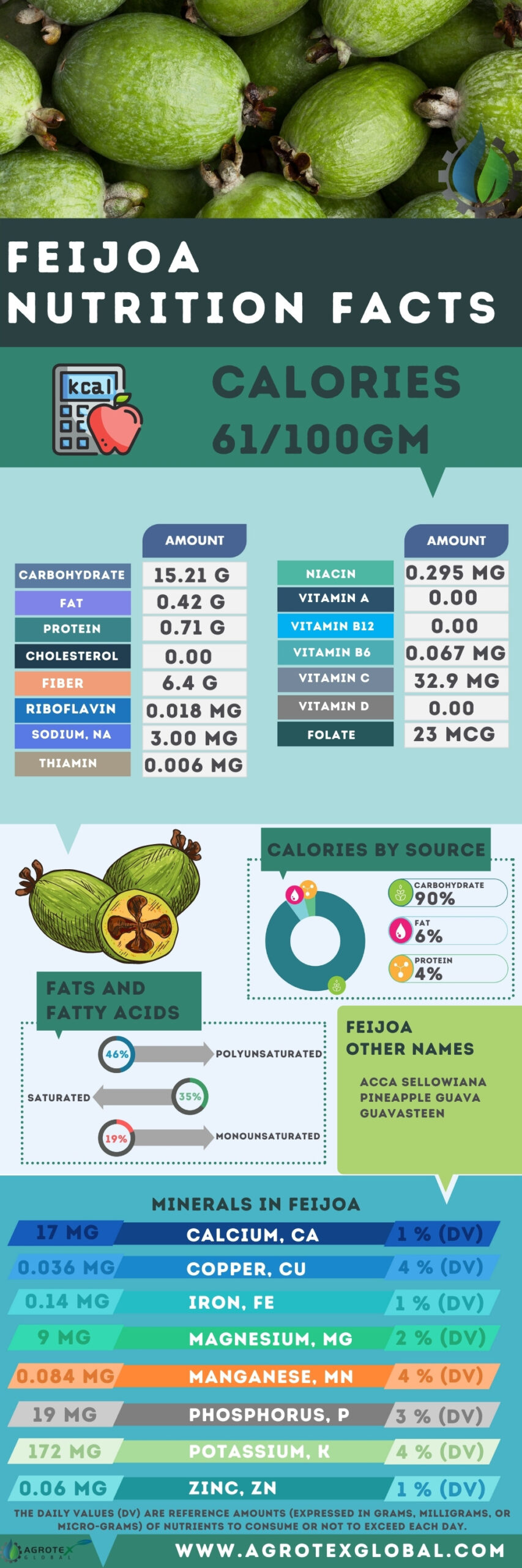 Feijoa NUTRITION FACTS calorie chart infographic